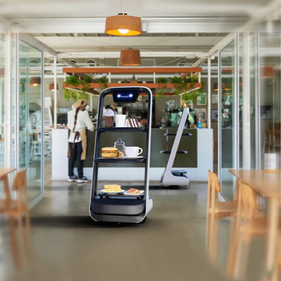 Proffesional Service Robots